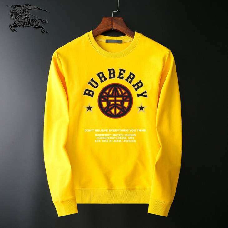 Picture of Burberry Sweatshirt _SKUBurberryM-3XL25tr31730791